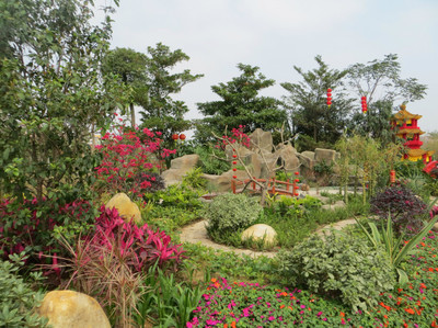 廣州園林博覽會 白云公園新春盛景，過年期間絕佳去處